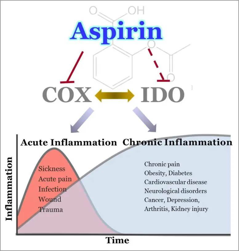 Aspirins-Mechanism-of-Action-777x815.webp