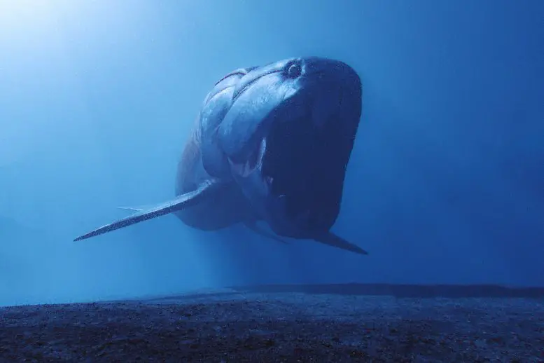 Dunkleosteus-Open-Mouth-777x518.webp