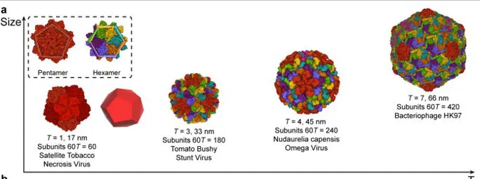 Larger-Nanocages.webp