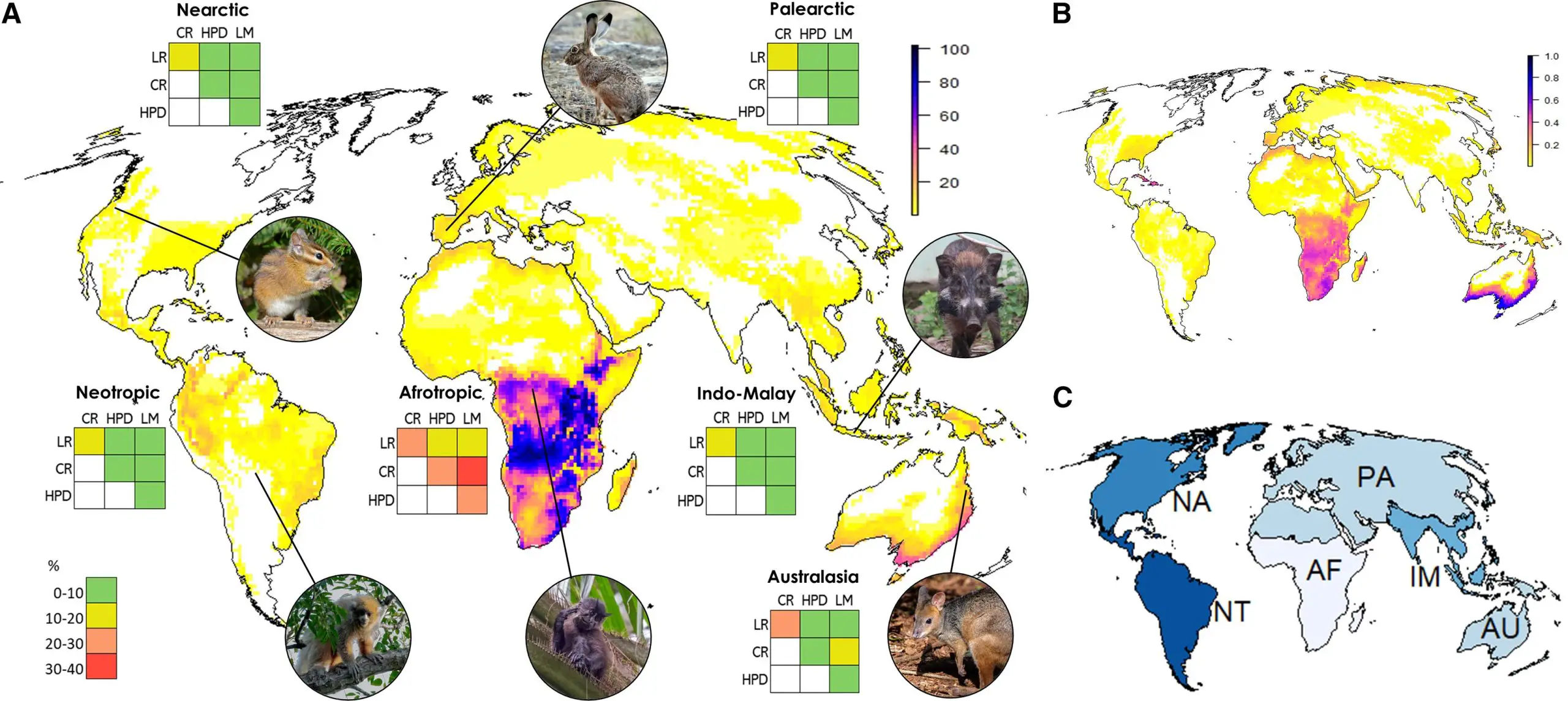 Concentrations-of-Terrestrial-Mammal-Species-With-Multiple-Future-Risk-Factors-scaled.webp