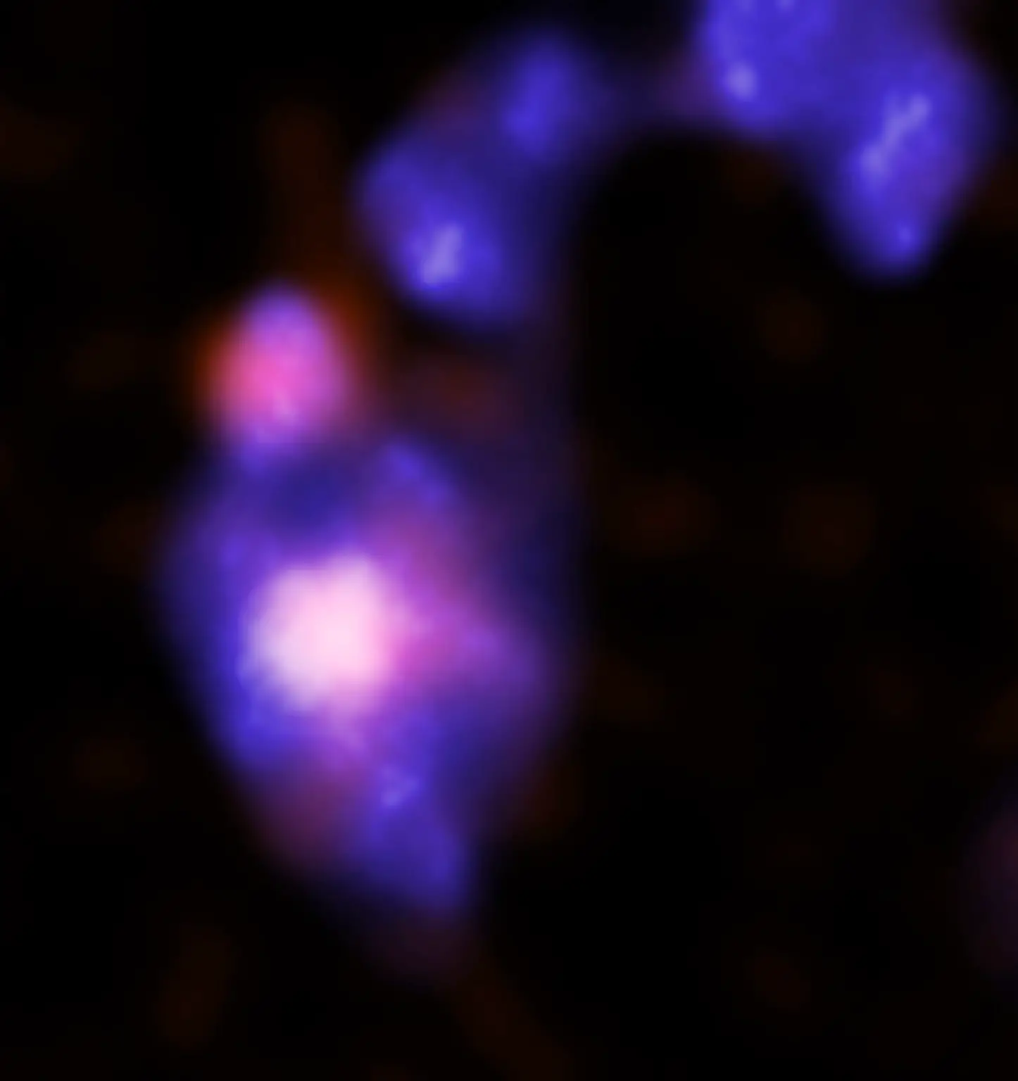 Chandra-Mirabilis-1446x1536.webp
