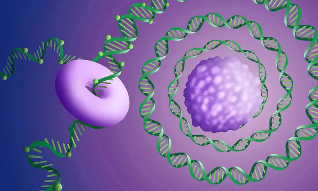 Long-Read-Genomic-Sequencing.webp