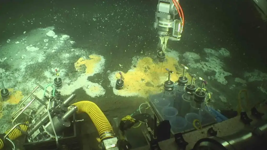 Remotely-Operated-Vehicle-Takes-Samples-of-Hydrothermal-Microbial-Mat.webp