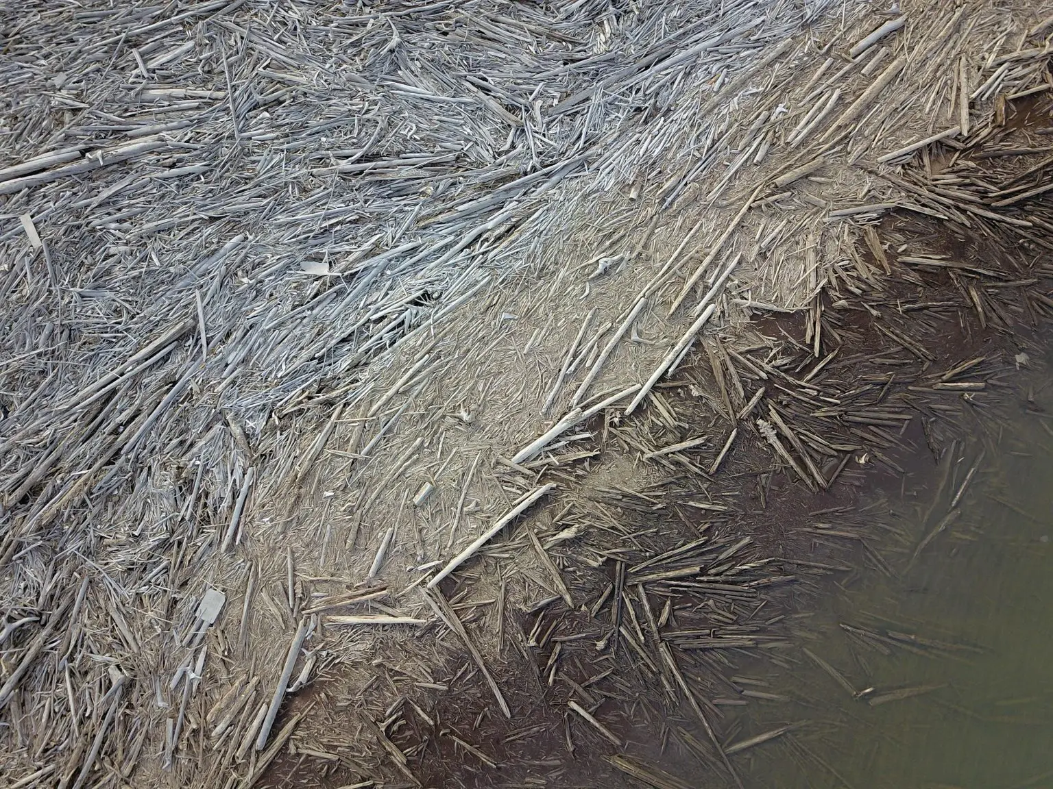 Logjam-Carbon-Storage-1536x1152.webp