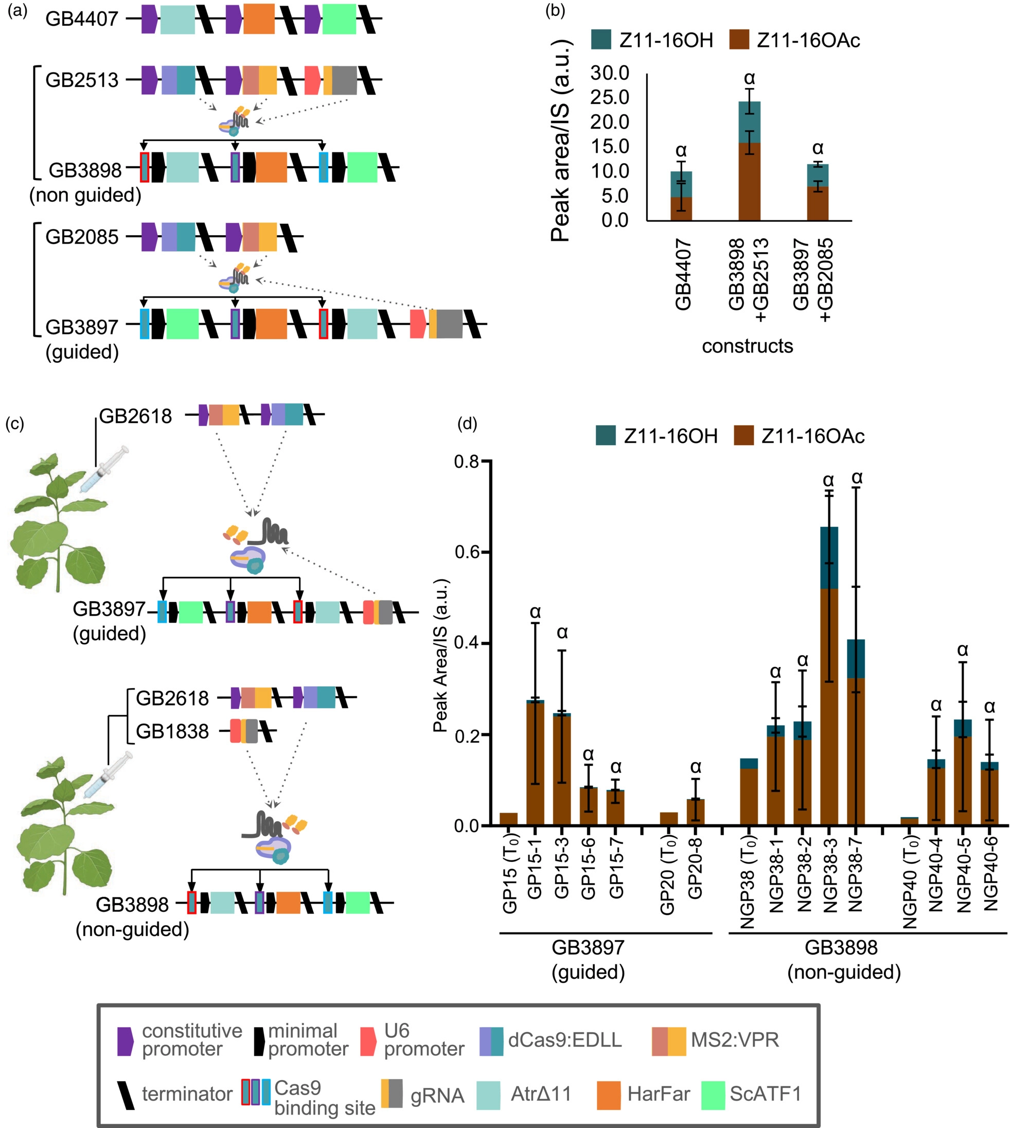 pbi14048-fig-0007-m.webp