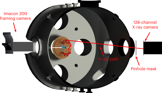41550_2023_1941_Fig1_HTML.png