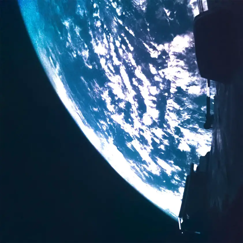 Juice-Leaves-Earth.webp