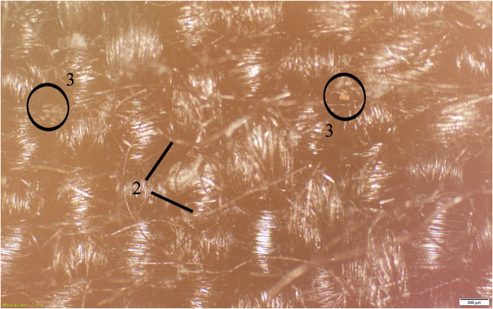 1-s2.0-S0094576523000681-gr10.jpg