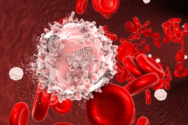 Blood-Cancer-Illustration-777x518.webp