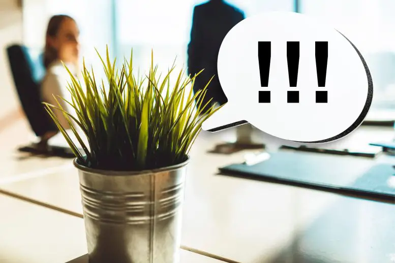 Stressed-Plants-Emit-Airborne-Sounds-777x518.webp