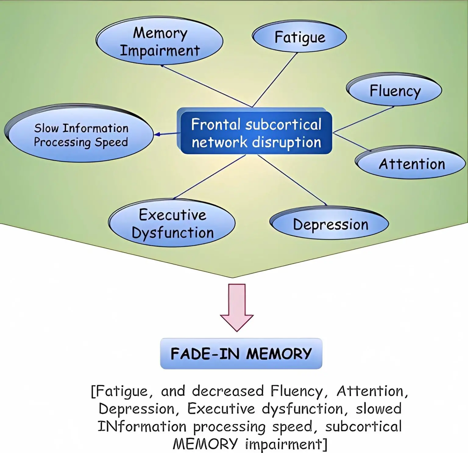 Fade-In-Memory-1536x1486.webp