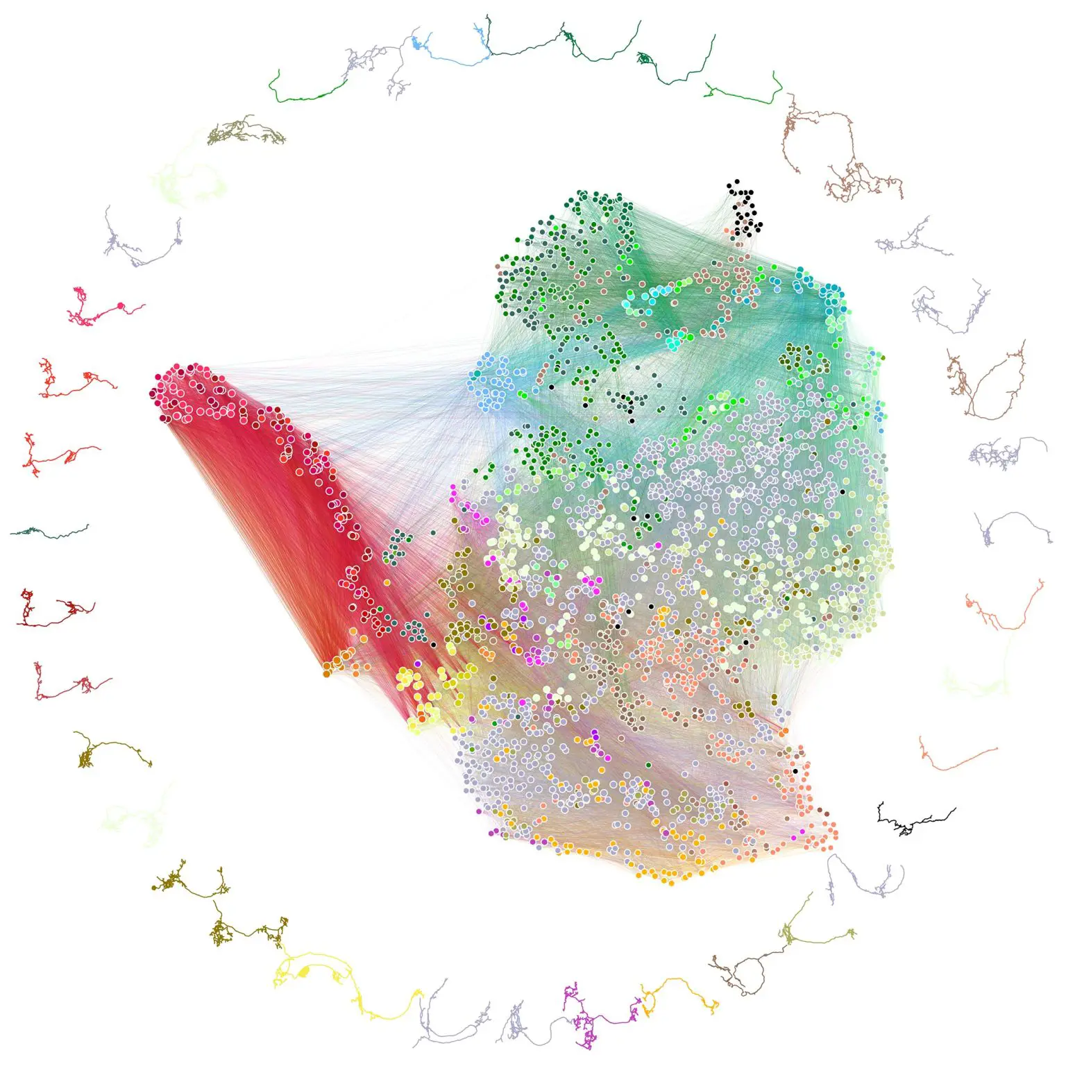 Diagram-of-Neuron-Connectivity-1536x1536.webp