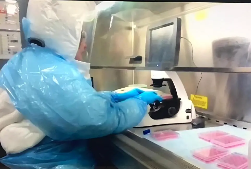 Artificial-Intelligence-Platform-T-Cell-Vaccine.webp