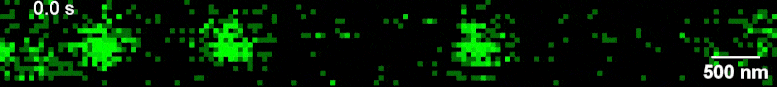 CMG-Motors-Moving-Along-DNA-Molecule.gif