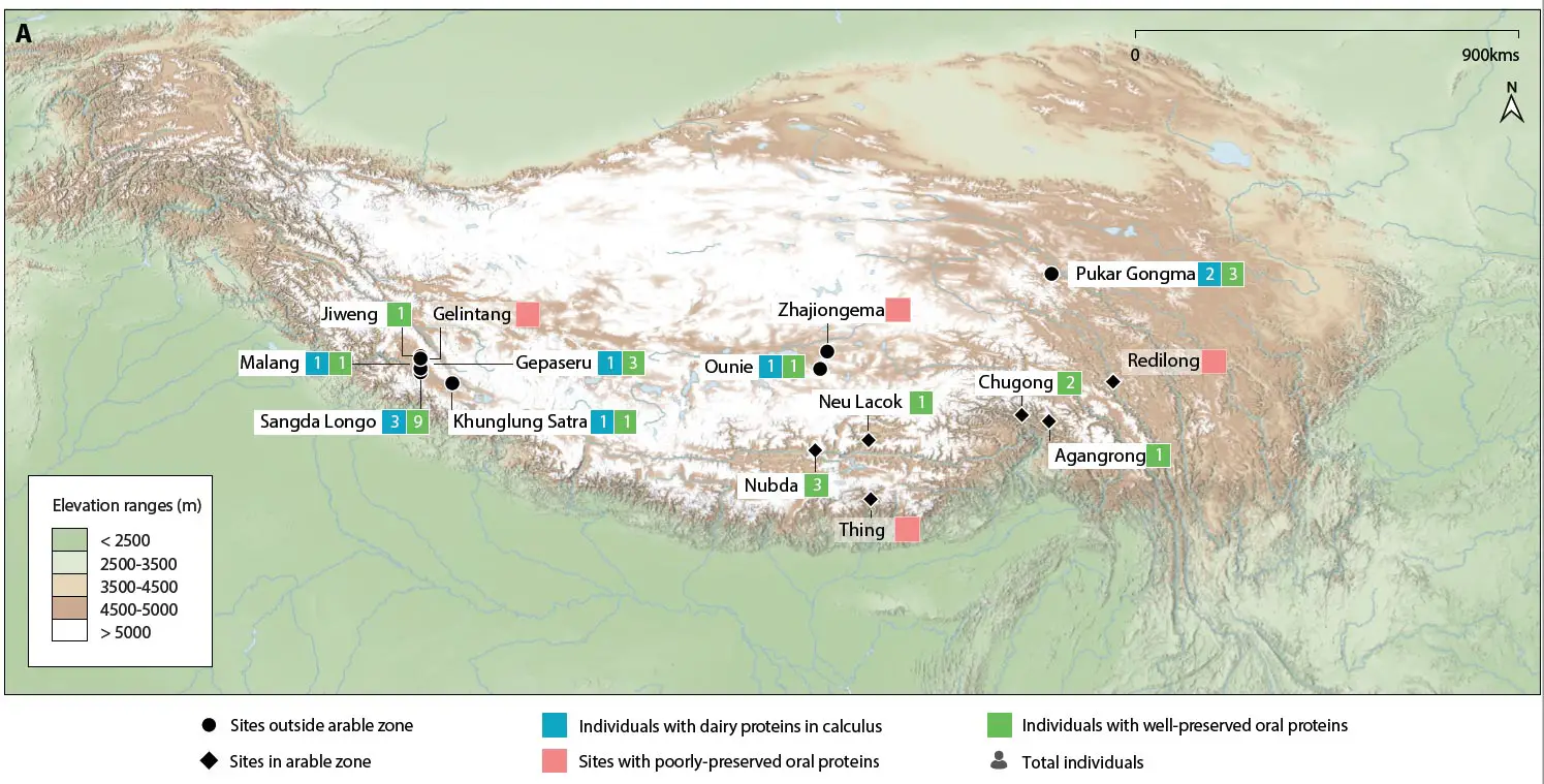 Tibetan-Milk-Study-Sample-Locations.webp