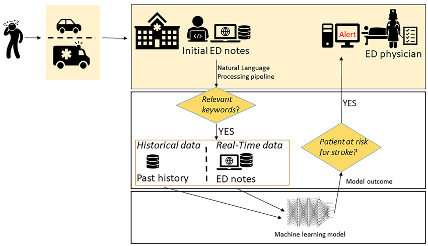 Key-steps-for-a-stroke-ML-enabled-decision-support-system-for-EDs-ED-emergency.png