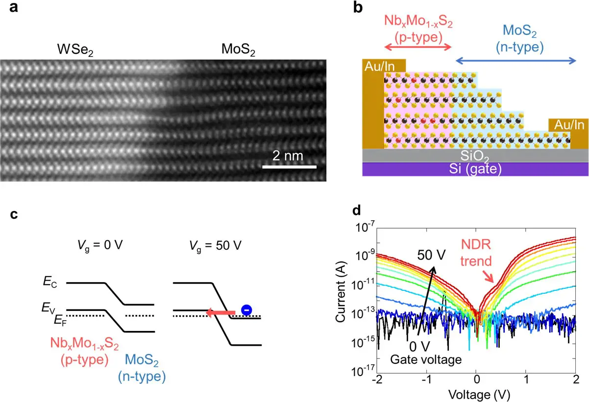 Multi-Layered-TMDC-Heterostructures-Electronic-Properties.webp