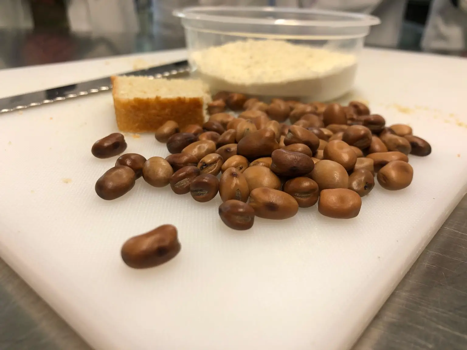 Faba-Beans-Dried-With-Faba-Bean-Flour-and-Bread-Fortified-With-Faba-Bean-1536x1152.webp