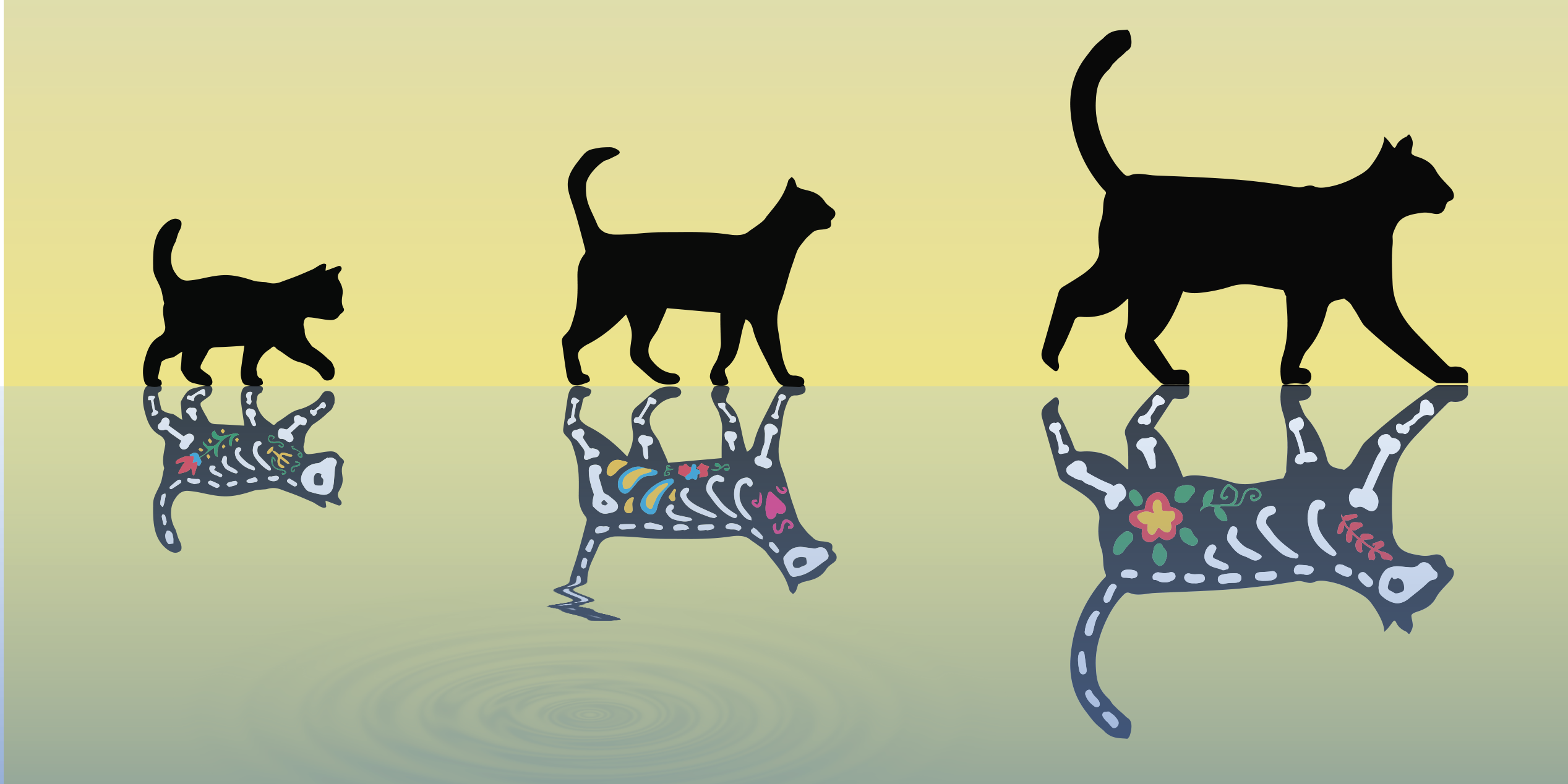 image.imageformat.carousel.148919157.png