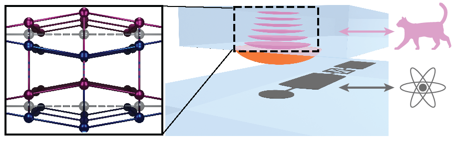 image.imageformat.1286.1837464918.png