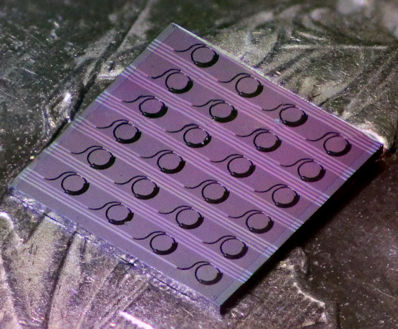 Lithium-Niobate-Integrated-Photonics-Chip.webp