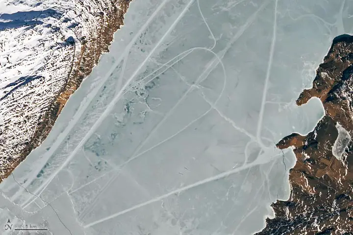 Tracks-Criss-Cross-an-Icy-Fjord-Close-Up.webp
