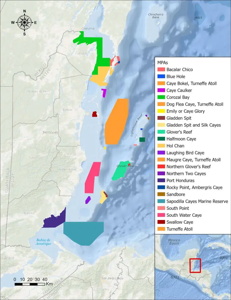 Port-Honduras-Marine-Reserve-Map-777x1006.webp