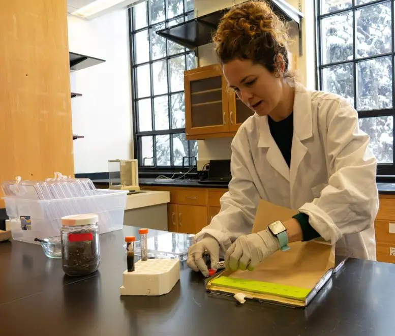 Corinne-Walsh-Soil-Samples-777x661.webp