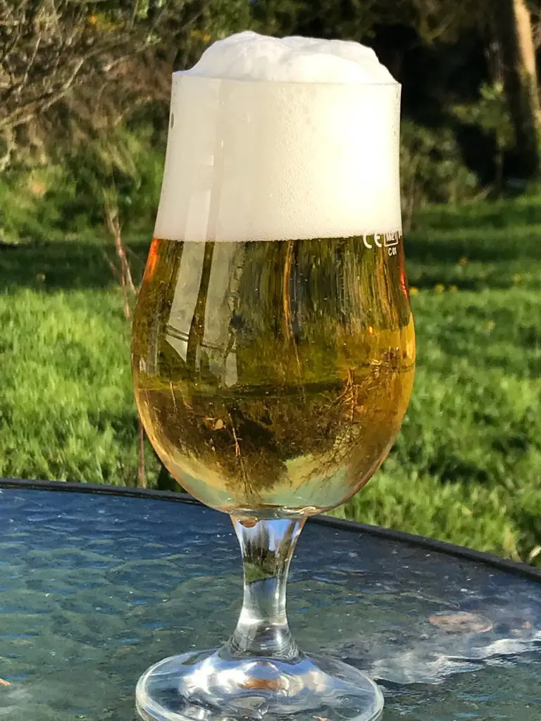 Pilsner-Style-Lager-768x1024.webp