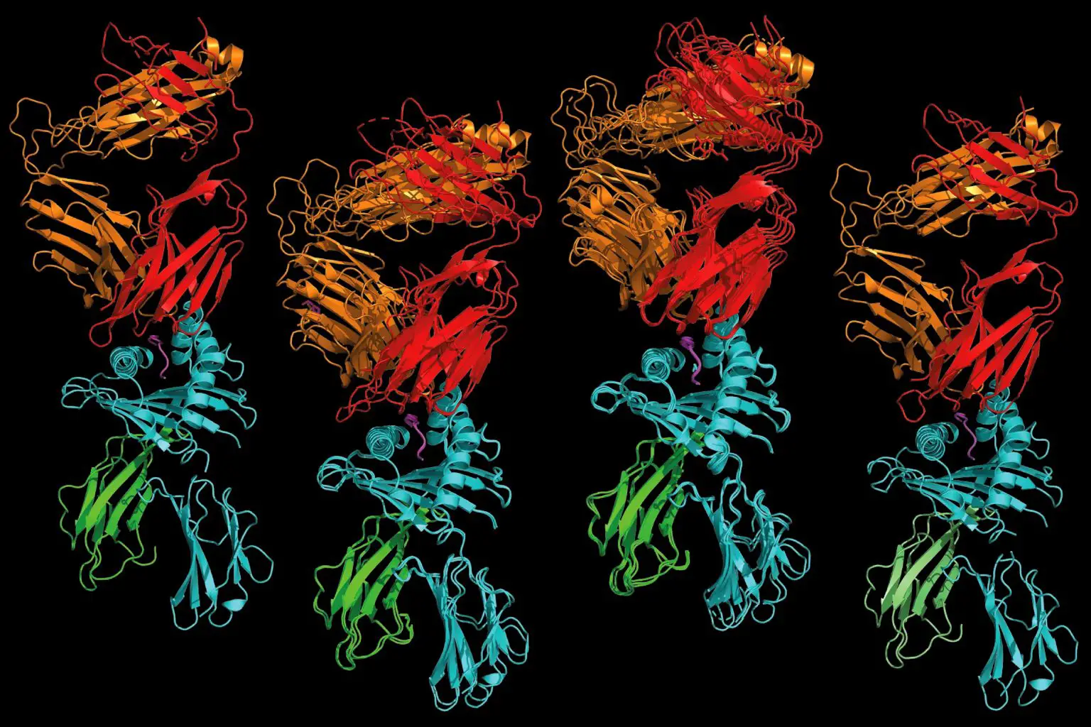 TCR-Similarities-1536x1024.webp
