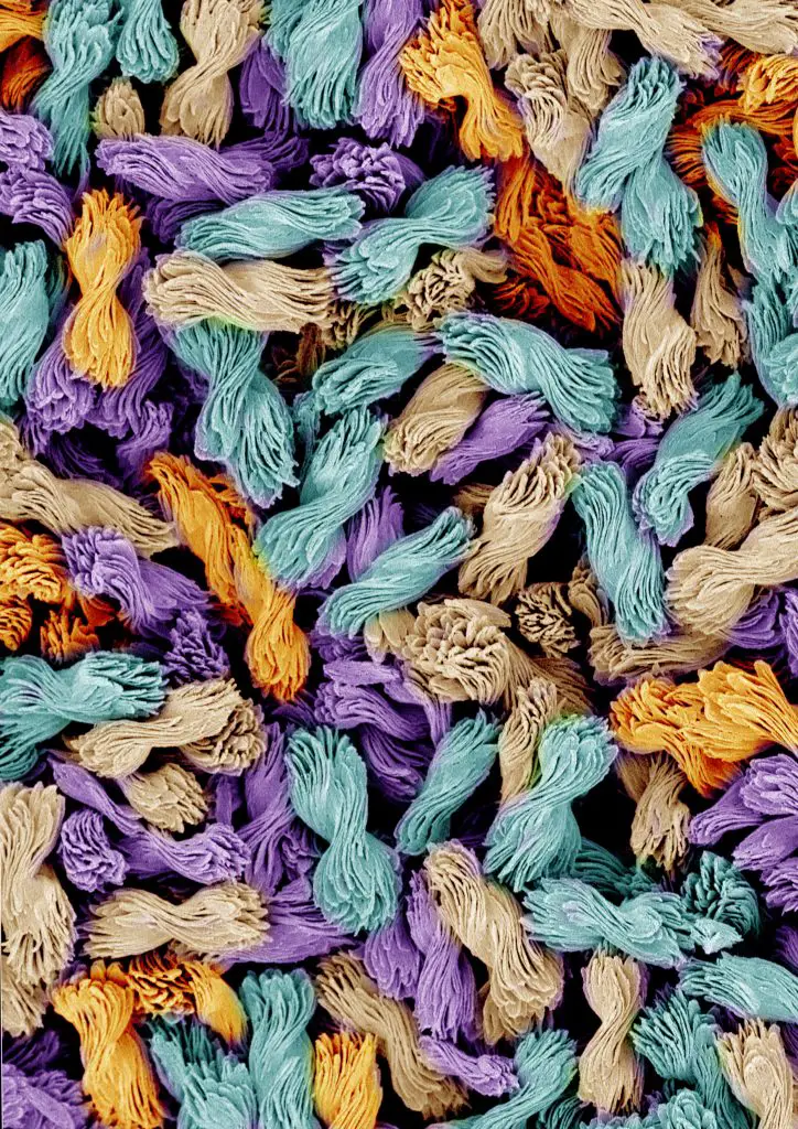 Pastel-Bowties-724x1024.webp