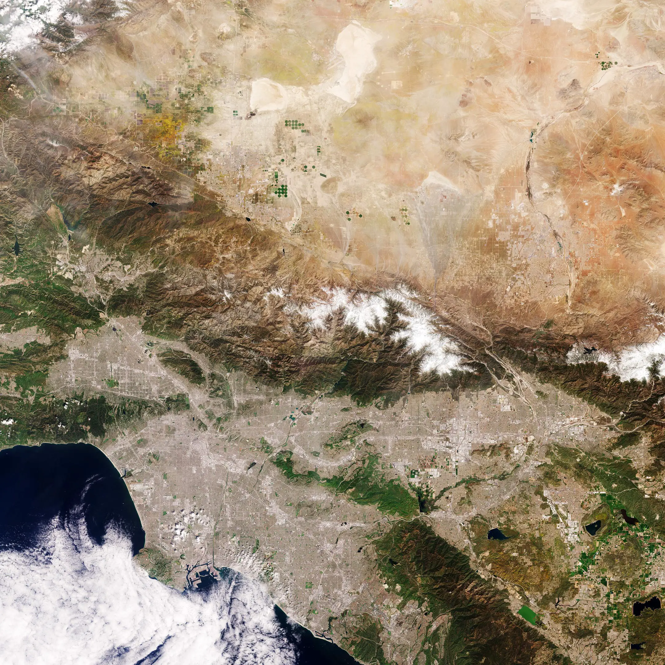 Blooming-California.webp