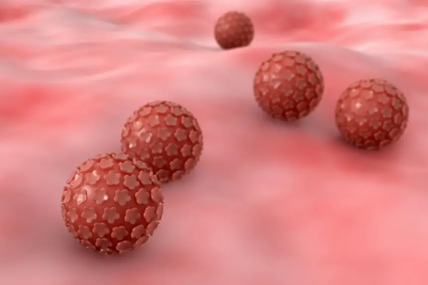 Human-Papilloma-Viruses-HPV-Illustration.webp