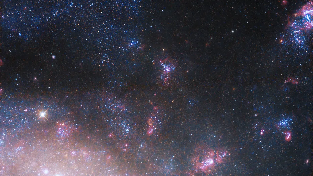 hubble_ngc4395_centerright_v5_flat_final_2.webp
