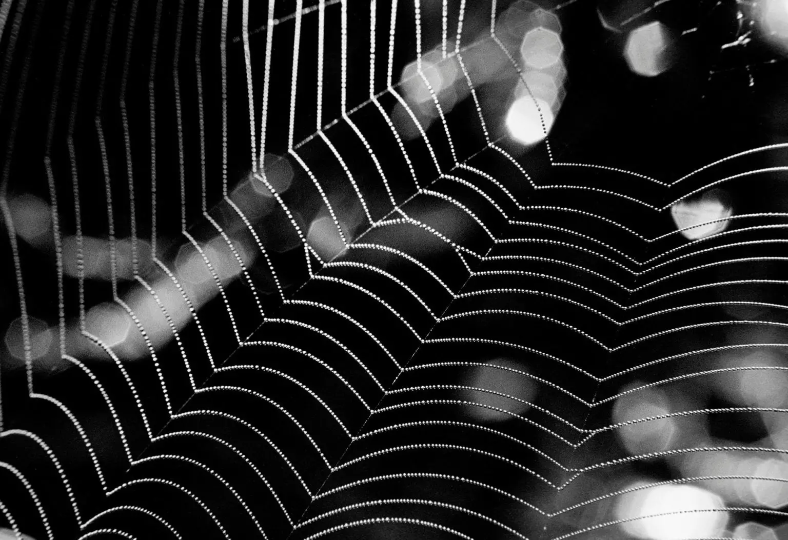 Spider-Web-Darkness-1536x1053.webp