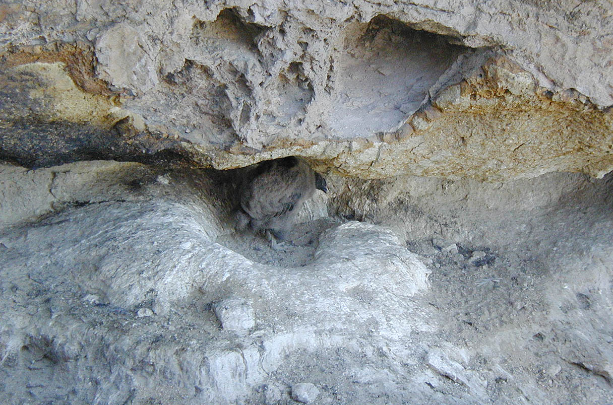 _20230502_on_andean_condor_nest.jpg