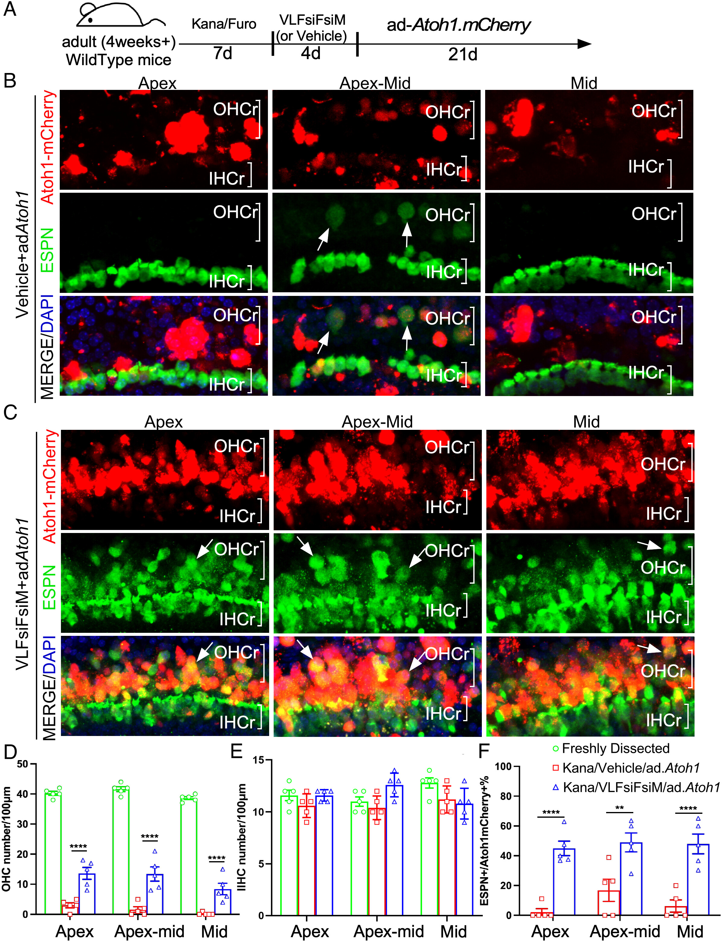 pnas.2215253120fig06.jpg