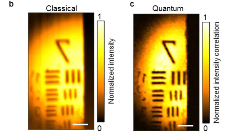 Standard-and-Quantum-Microscopy-Image-Comparison-777x458.webp