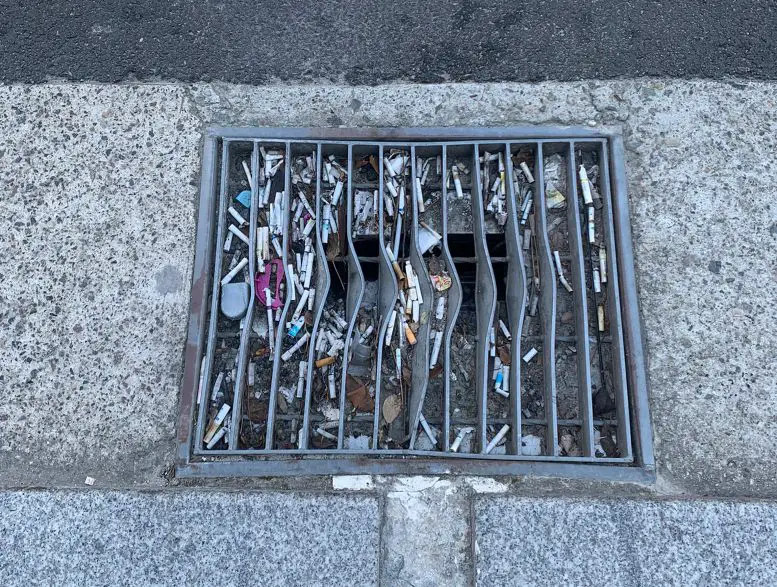 Cigarette-Butts-Litter-777x587.webp