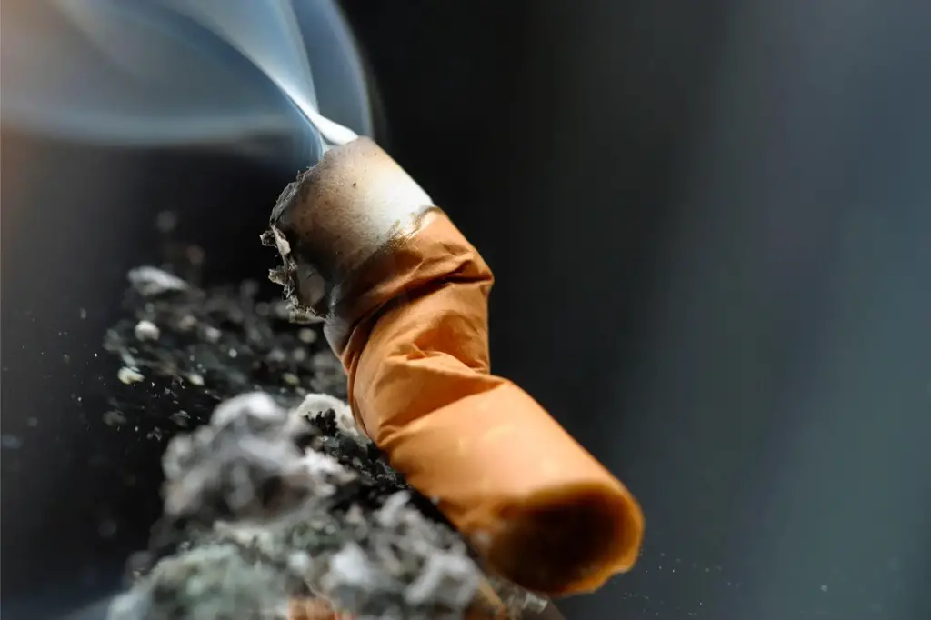 Cigarette-Butt-Smoke.webp