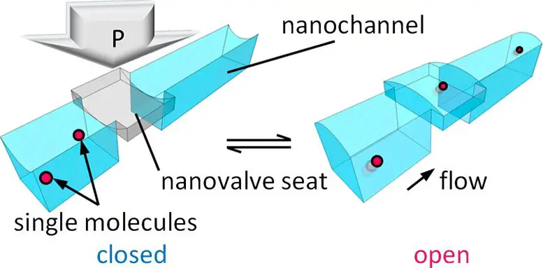 Revolutionary-Nanovalve-Enables-Active-Control-of-Single-Molecule-Flows-777x383.webp
