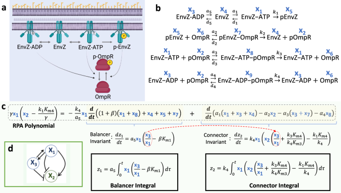 41467_2023_38011_Fig3_HTML.png