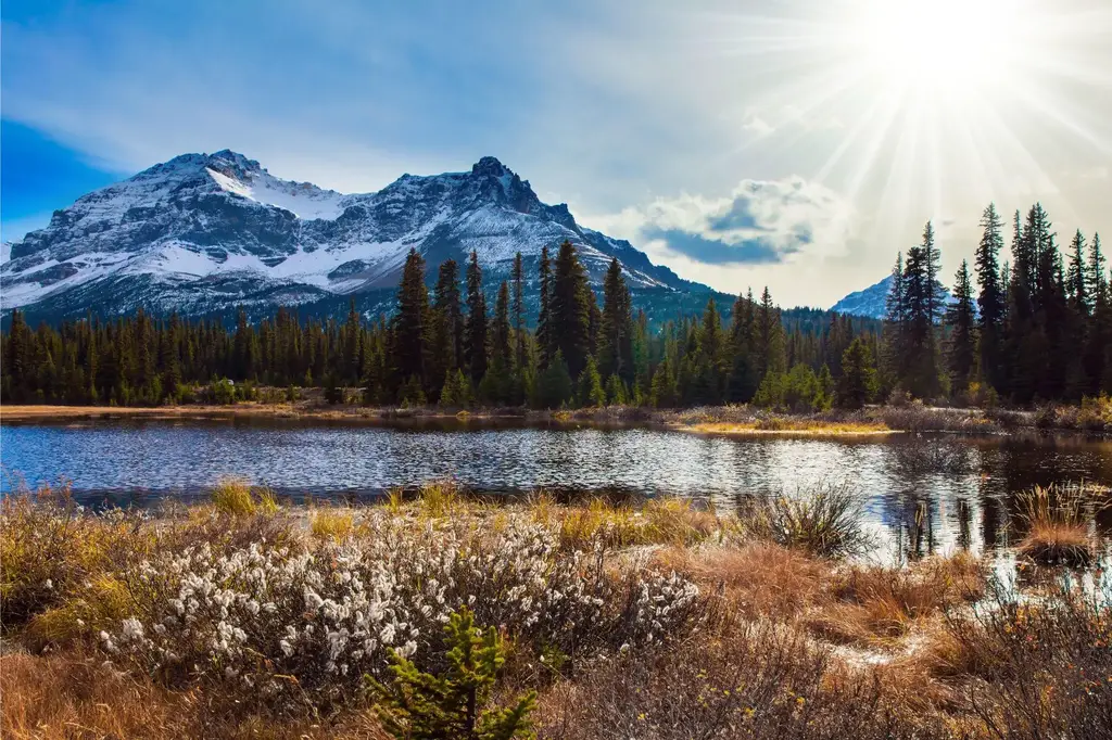 Shallow-Lake-Mountains.webp