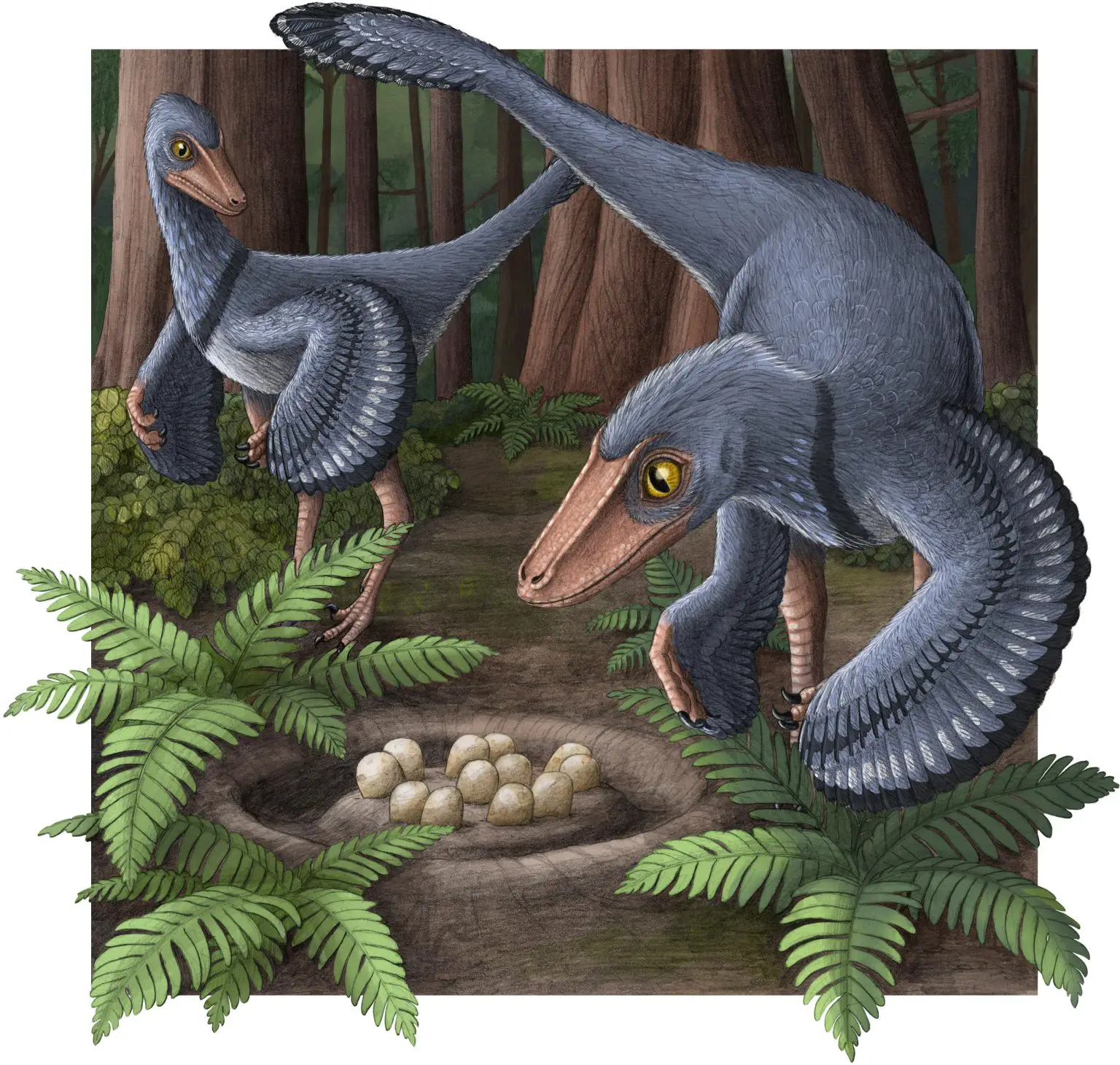 Artists-Impression-of-Two-Troodons-With-a-Common-Nest-1536x1460.webp