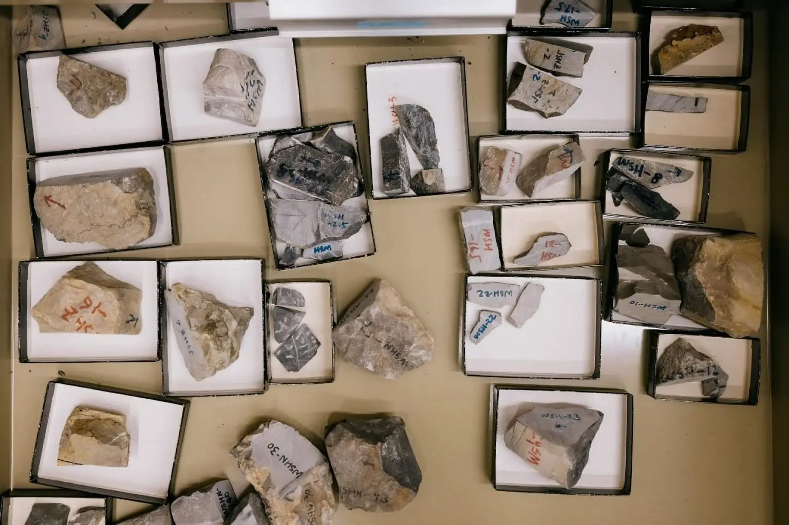 Carbonate-Rock-Samples-Collected-From-the-North-China-Craton-1536x1023.webp