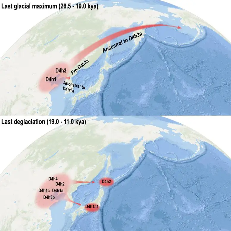 Ice-Age-Human-Migrations-From-China-to-Americas-and-Japan-777x777.webp