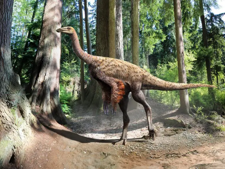Ornithomimus-Illustration-777x583.webp