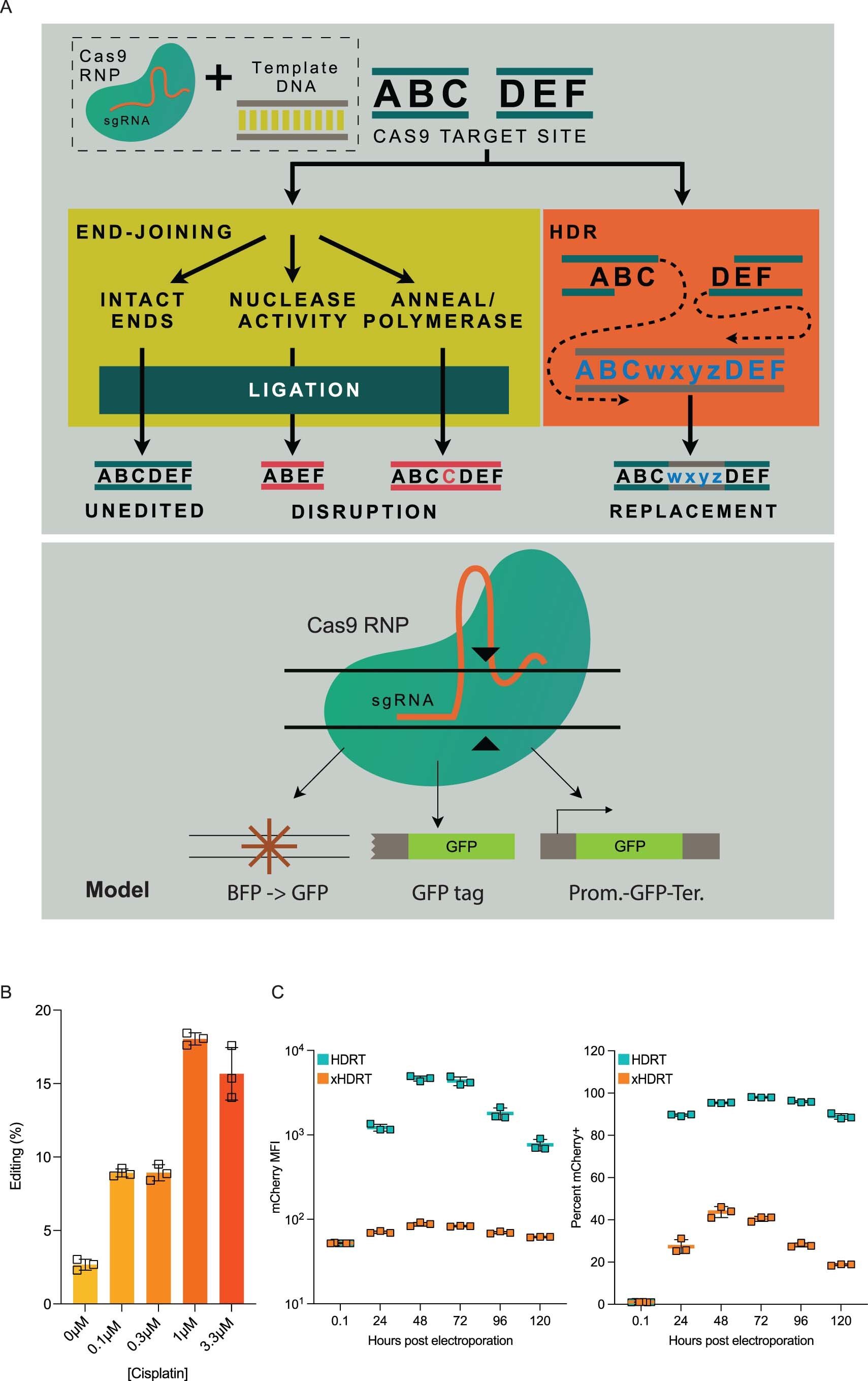 researchers-discover-a-13.jpg