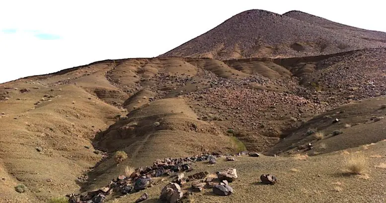 Fezouata-Shale-Fossil-Site-777x408.webp