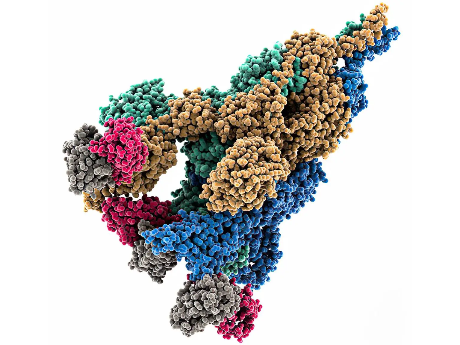 D614G-Mutation-Spike-Caption-of-SARS-CoV2-1536x1152.webp